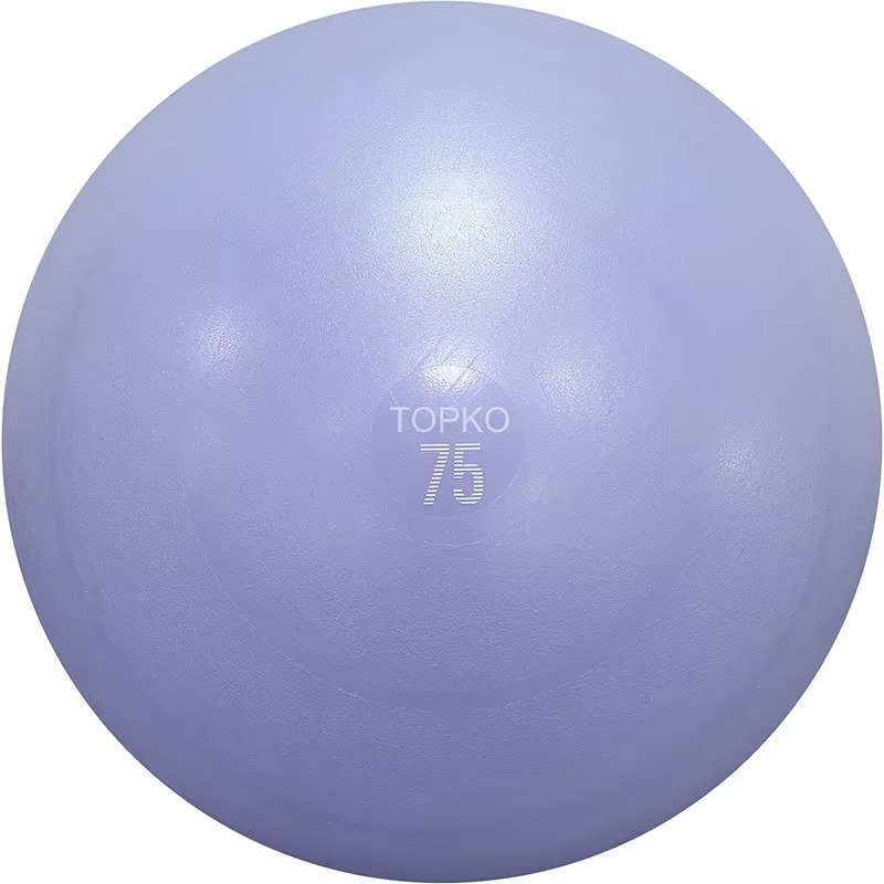 YTYIN TOPKO ヨガボール エクササイズボール、5サ - Exercise Ball Stability のレビューと価格